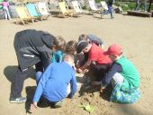 Farma iluzji - 29